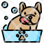 pet-grooming-dog-bath-cleaning-icon