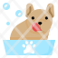 pet-grooming-dog-bath-cleaning-icon