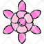petal-flower-chrysanthemum-floral-daffodil-icon