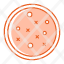 petri-dish-icon