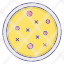 petri-dish-icon