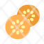 physalis-slice-small-icon