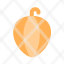 physalis-small-icon