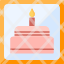 pictures-party-birthday-wedding-occasion-icon