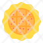 pie-icon