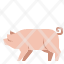 pig-animal-agriculture-pork-icon
