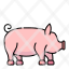 pig-animal-pet-wildlife-animals-icon