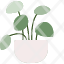 pileaplant-pot-indoor-plants-house-farming-gardening-botanical-home-decoration-icon
