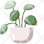 pileaplant-pot-indoor-plants-house-farming-gardening-botanical-home-decoration-icon