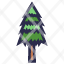 pine-nature-botanical-plant-tree-forest-decoration-winter-ecology-culture-icon
