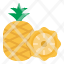 pineapple-fruit-food-organic-healthy-icon