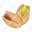 pistachio-food-natural-icon