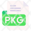 pkg-file-type-format-extension-document-icon