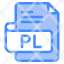 pl-file-type-format-extension-document-icon