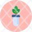 plant-agronomy-crop-planting-sapling-sprout-icon-icon