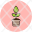 plant-decorationgarden-leaf-plants-pot-potted-icon-icon