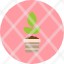 plant-decorationgarden-leaf-plants-pot-potted-icon-icon