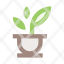 plant-flower-icon