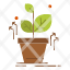 plant-grow-grown-success-icon