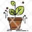 plant-grow-grown-success-icon