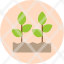 plant-growing-agricultureeco-ecology-farming-nature-icon-icon