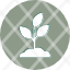 plant-grows-agriculturearrows-ecology-garden-gardening-icon-icon