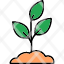 plant-grows-icon