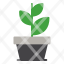 plant-growth-ecology-green-nature-icon