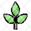 plant-leaves-herbal-organic-medic-icon