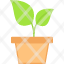 plant-nature-leaf-garden-tree-icon
