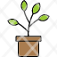 plant-nature-leaf-green-flower-icon