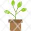 plant-nature-leaf-green-flower-icon