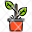 plant-pot-tree-icon