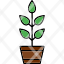 plant-seedling-tree-growth-nature-icon