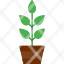 plant-seedling-tree-growth-nature-icon