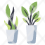 plants-green-houseplant-leaf-nature-plant-icon