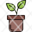 plants-nature-leaf-tree-weather-icon