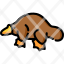 platypus-icon