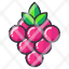play-go-berries-pokemon-game-icon