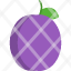 plum-fruit-food-fresh-sweet-icon