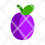 plum-sweet-food-icon