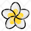 plumeria-flower-plant-blossom-garden-floral-nature-icon