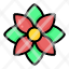 poinsettia-flower-plant-blossom-garden-floral-nature-icon