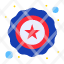police-star-usa-icon