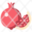 pomegranate-agriculture-fresh-healthy-food-fruit-bunch-icon