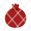 pomegranate-food-icon