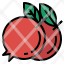 pomegranate-fruit-healthy-organic-tropicalfruit-food-icon