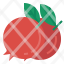pomegranate-fruit-healthy-organic-tropicalfruit-food-icon