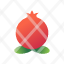 pomegranate-healthy.fruit-icon