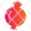 pomegranate-icon